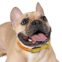 Load image into Gallery viewer, Dog Collar
