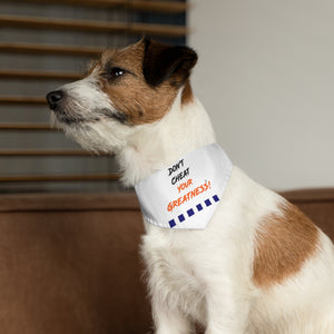 815 Edition Pet Bandana Collar