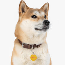 Load image into Gallery viewer, Hindi Pet Tag

