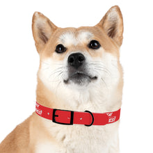 Load image into Gallery viewer, Dog Collar

