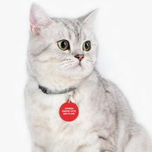 Load image into Gallery viewer, Japanese Pet Tag
