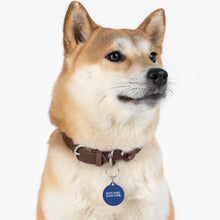 Load image into Gallery viewer, Korean Pet Tag
