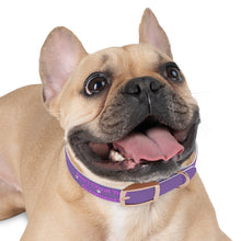 Load image into Gallery viewer, Dog Collar
