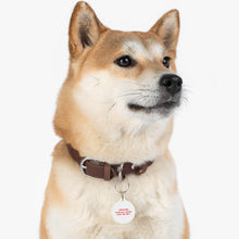 Load image into Gallery viewer, Japanese Pet Tag
