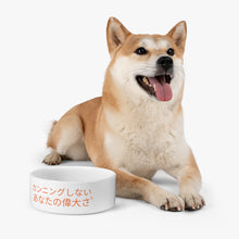 Load image into Gallery viewer, Pet Bowl
