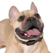 Load image into Gallery viewer, Copy of Dog Collar
