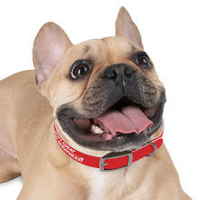 Load image into Gallery viewer, Dog Collar

