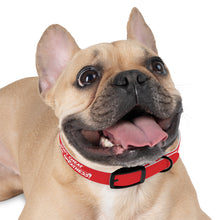 Load image into Gallery viewer, Dog Collar
