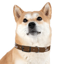 Load image into Gallery viewer, Copy of Dog Collar
