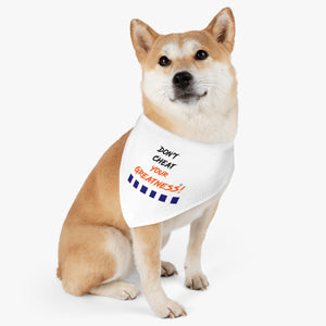 815 Edition Pet Bandana Collar