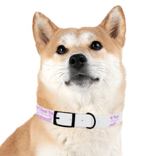Load image into Gallery viewer, Dog Collar
