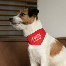Load image into Gallery viewer, Pet Bandana Collar
