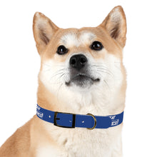 Load image into Gallery viewer, Dog Collar
