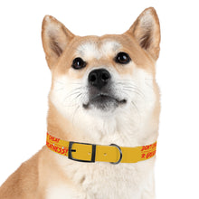 Load image into Gallery viewer, Dog Collar

