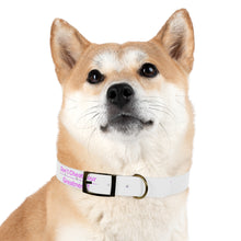 Load image into Gallery viewer, Dog Collar

