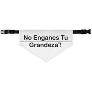 Espanol Pet Bandana Collar