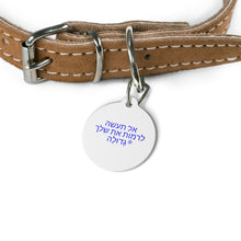 Load image into Gallery viewer, Hebrew Pet Tag
