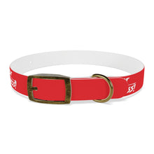 Load image into Gallery viewer, Dog Collar
