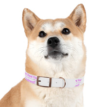 Load image into Gallery viewer, Dog Collar
