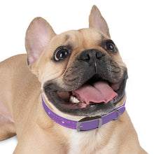 Load image into Gallery viewer, Dog Collar
